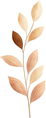 a branch with leaves on a white background.jpg